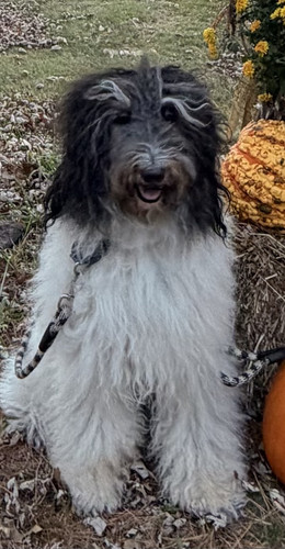 dd929091 a9d0 4e68 8aa0 489f67119179.jpg