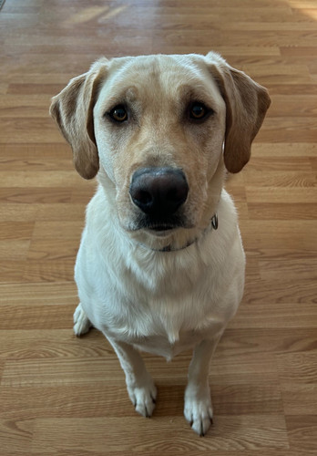 4a44f5db 2317 4438 982b 83e1dfb96d87.jpg