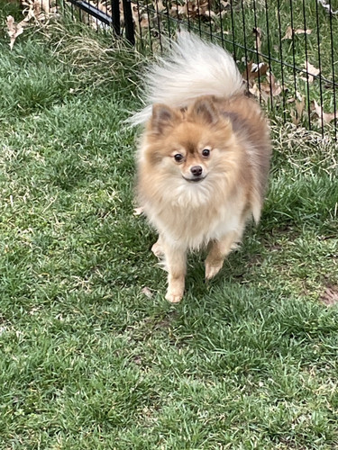 c0b6c5dd 57a7 4a34 ad90 a04b0f84d35a.jpg