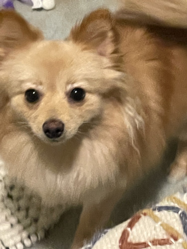 ea68451e 4be5 46f9 9bd4 a61dc09cacc8.jpg