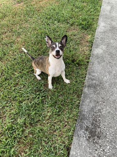 b0fe11e8 74d7 4acd bebb 6dd58e8bf45c.jpg