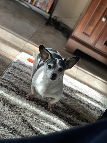 137f9c25 4e01 448a b030 6fbae80c5328.jpg