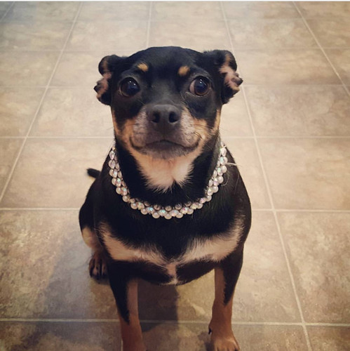 fa714e54 82bc 4b4d 91d4 3ad7af807897.jpg