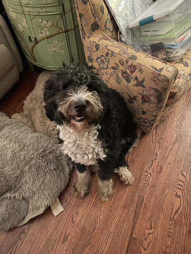 074c2a57 1406 4e9a a6e2 7726a9c56452.jpg