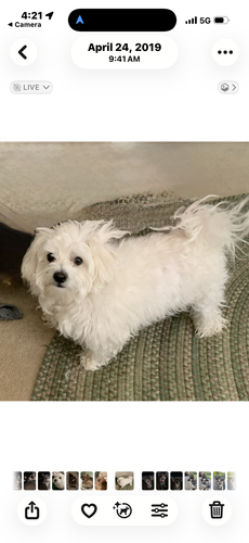 6f37f6d3 5309 46d5 964f b00058c94ab9.png