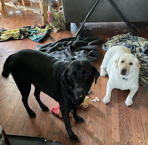 af104517 5770 4c73 999d 1630f0adaf60.jpg