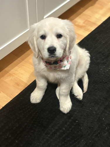 717f48cd 15bf 4611 9242 61e3112a46e8.jpg