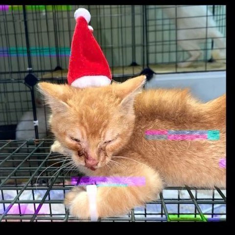 G1Oh8uEWYAAn6 6?format=jpg.jpg