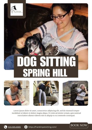 dog sitting spring hill.jpg