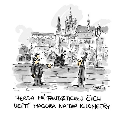 591358720 2837842353087412 7159274855681875347 n.jpg