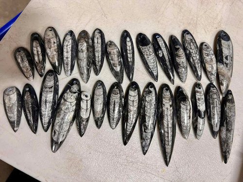 orthocera fossil pendants 1.jpg