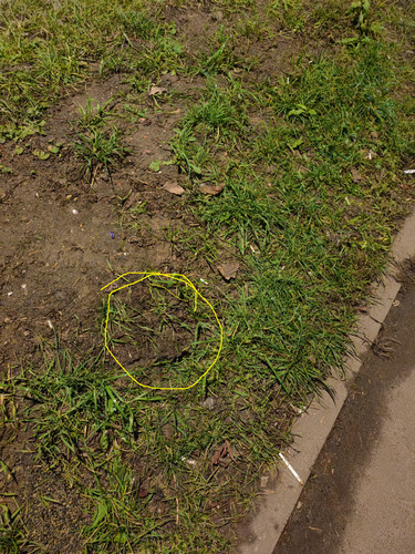 IMG 20251202 193214.jpg