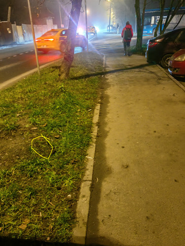 IMG 20251202 193208.jpg