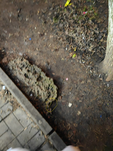 IMG 20251202 194336.jpg