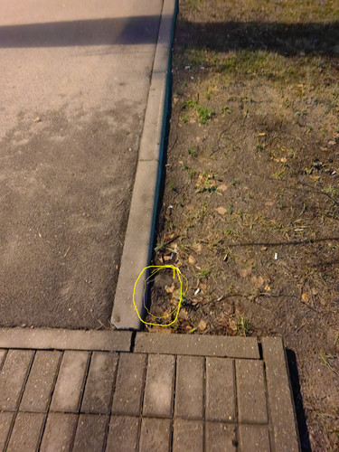 IMG 20251202 200001.jpg