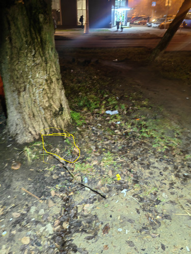 IMG 20251202 193947.jpg