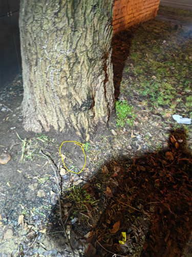 IMG 20251202 194042.jpg