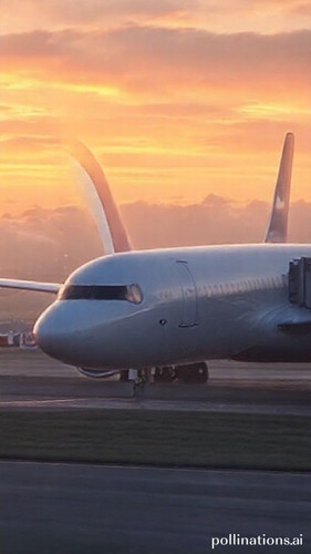 a74806206352.jpg