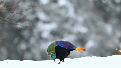 Yz0 K USBZbSzfQz.jpg