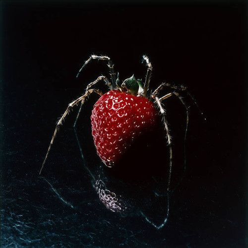 AM97 Edits 2015 2025.jpg