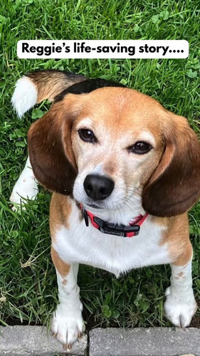 BSL32 U6syo0REGZ.jpg