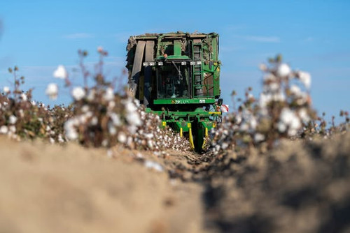 592235180 1260664519427730 4399317112296455635 n.jpg?stp=dst jpg s590x590 tt6& nc cat=107&ccb=1 7& n.jpg