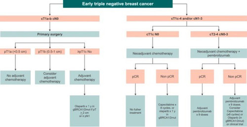G6 20sJWAAI4Zzb?format=jpg.jpg