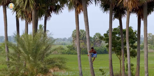 qv6a6vfS 81uJiYG.jpg