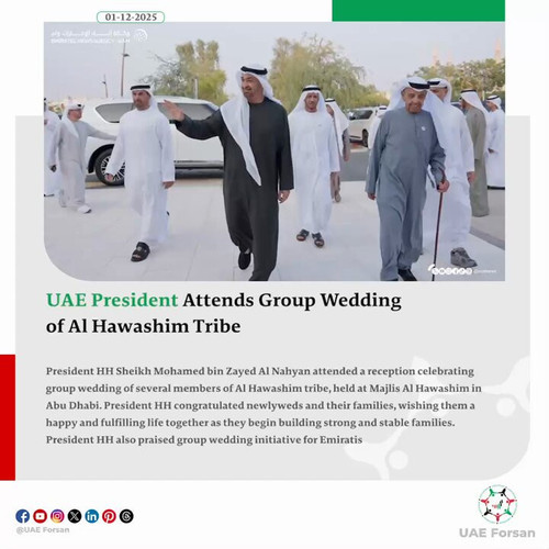 OLW Ik2BS31 xy21.jpg