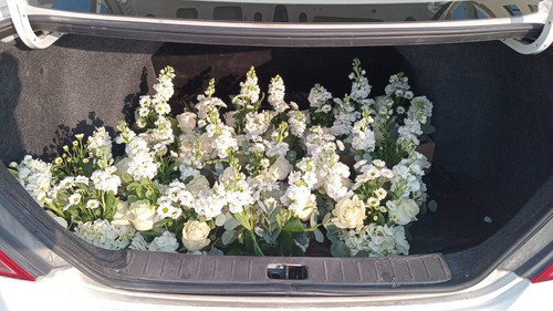 WhatsApp Image 2025 12 03 at 3.22.00 PM.jpg