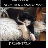 G7N kE6WMAAH8kw.png