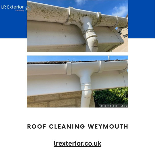 Roof Cleaning Weymouth.jpg