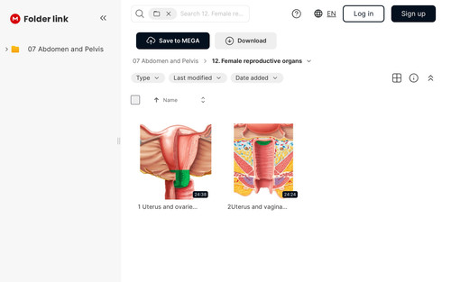 screenshot.jpg