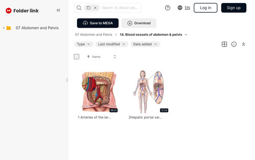screenshot.jpg