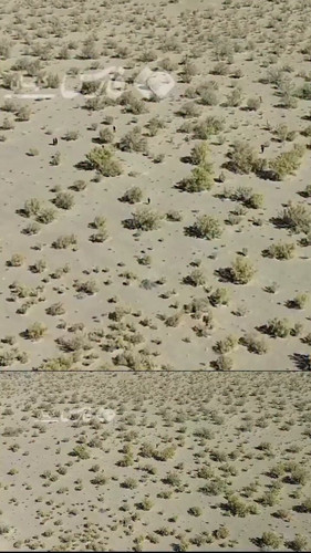 U6LoJDOcDMht8 kF.jpg