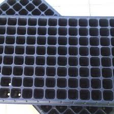 tray semai.jpg