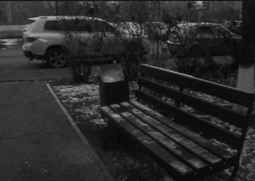 file 19496.jpg