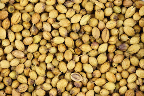 coriander seed.jpg