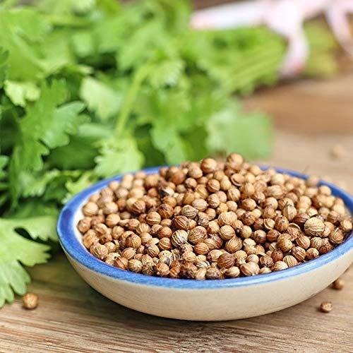 high breed coriander seeds 822.jpg