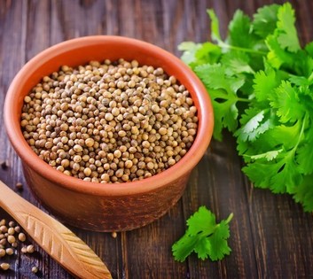 25 dhona pata seed ssplants orig.jpg