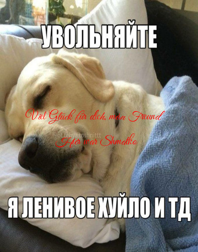 ht 1.jpg