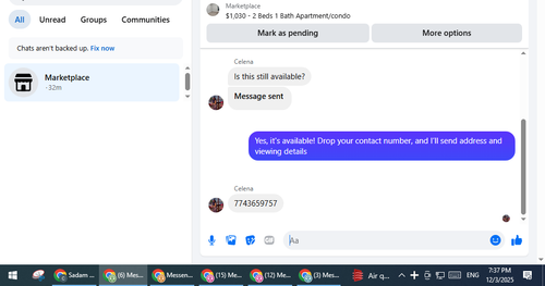 17.png