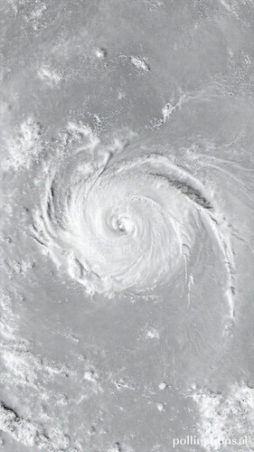 af706d463496.jpg