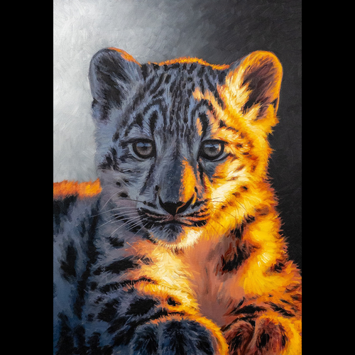 temp kie upload b825cac8bd6b42b58b8eec494735b6bb.png