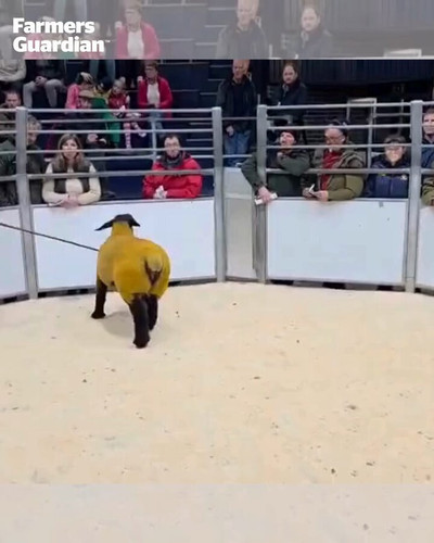 XF91ycAhEkDP2hOh.jpg