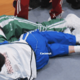 1000052604.gif