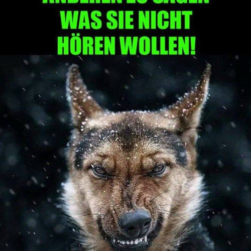 Wolfgang86391.jpg