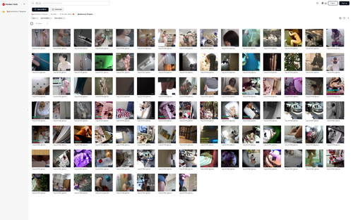 screenshot.jpg