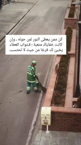 ETQVtj4otiW9lTN9.jpg