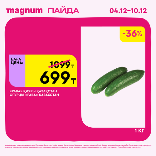 Magnum 1728x1728 1 tov (70)